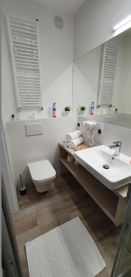 Apartment Vojcar *